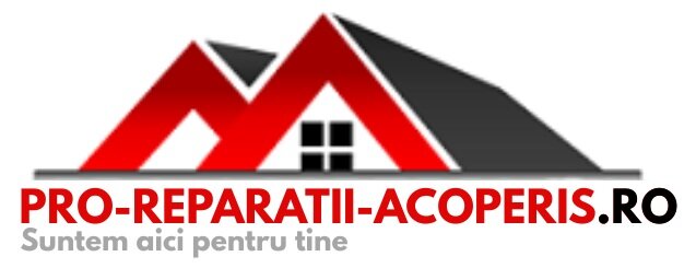 Pro Reparatii Acoperisuri
